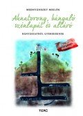Mednyánszky Miklós - Aknatorony, bányaló, szénlapát és altáró - Bányászatról gyerekeknek - Kivágható makettel!
