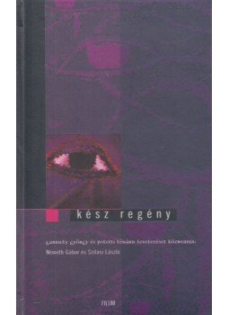 Németh Gábor, Szilasi László - Kész regény Németh Gábor, Szilasi László - Kész regény, 2000 antikvár könyv