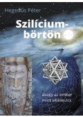 Hegedűs Péter - Szilíciumbörtön