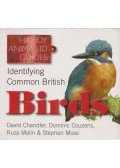 David Chandler,Russ Malin - Identifying Common British Birds