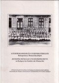 Susan Zimmermann,Sándor Tibor - Gyermeksorsok és gyermekvédelem Budapesten a Monarchia idején