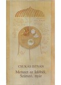 Csukás István - Metszet az Időből, Szárszó, nyár