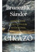 Brunczlik Sándor - Cikázó - gondolatok és mini eposzok mindenkinek