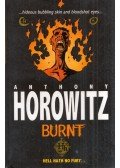 Anthony Horowitz - Burnt