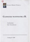 Tóth Zoltán - Gazdasági matematika II.