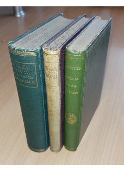 Sorel, Albert, Foville, Alfred de, Giffen, Robert, Leslie, Cliffe, Hettner, Alfred - A jelenkorhoz vezető út geopolitikai magyarázata (1882–1918), Budapest 1882 antikvár könyv