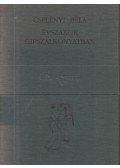 Cselényi Béla - Évszakok gipszalkonyatban