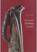 Kovács Orsolya - Szecessziós Zsolnay kerámia