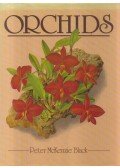 Peter McKenzie Black - Orchids