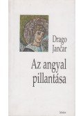 Drago Jancar - Az angyal pillantása