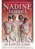 Nadine Dorries - The Angels of Lovely Lane