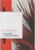 Harsányi István - Galambok a tüzelőállásban