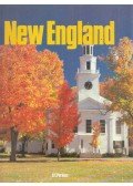 Cyrus Francis Perkins - New England