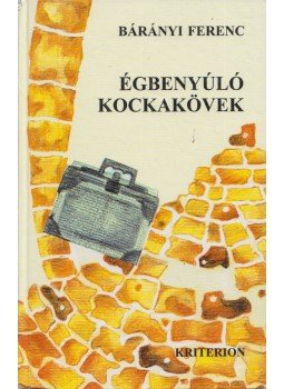 Bárányi Ferenc - Égbenyúló kockakövek Bárányi Ferenc - Égbenyúló kockakövek, Kolozsvár 2002 antikvár könyv