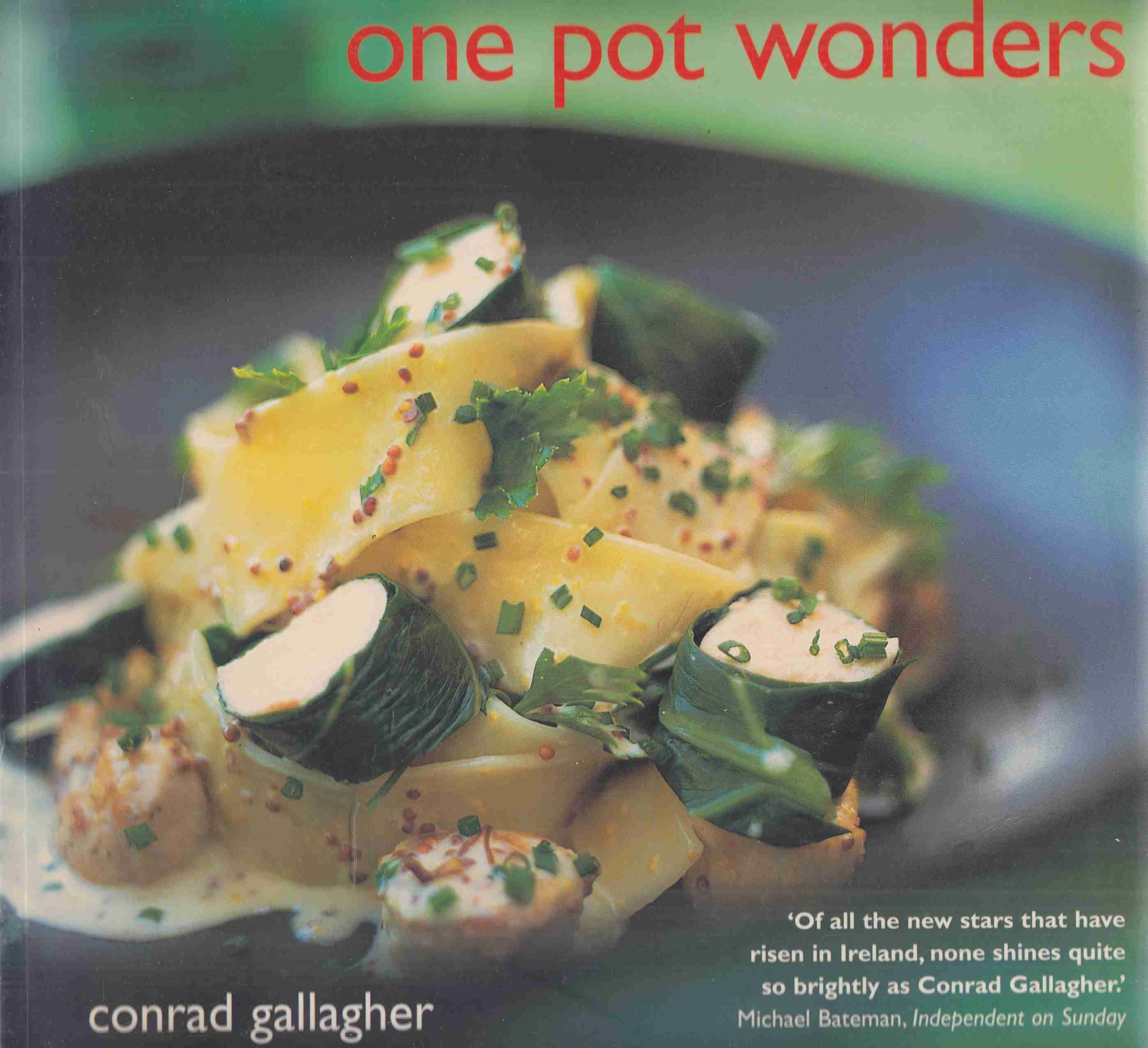 Conrad Gallagher - One-Pot Wonders - Over 120 Innovative Recipes, With Minimal Washing Up!,  2001 antikvár könyv