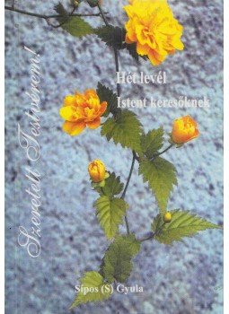Sípos Gyula - Szeretett Testvérem! Sípos Gyula - Szeretett Testvérem!, 2001 antikvár könyv