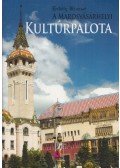 Simion T. Pop - A marosvásárhelyi Kultúrpalota