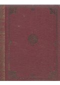 Guy de Maupassant - A vizen