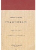 Lőw Immánuel - Aramaeische Pflanzennamen (reprint)