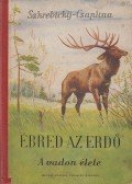 Csaplina, V.,Szkrebickij, Georgij - Ébred az erdő