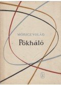 Móricz Virág - Pókháló (aláírt)