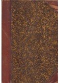 Jacob Burckhardt - Geschichte der Renaissance in Italien