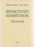 Flesch Ádám,Száz János - Befektetési számítások példatár