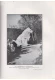Thumbnail kép