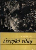 Dr. Balogh Ernő - Cseppkő világ
