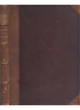 Kalecsinszky Sándor - A Magyar Korona országainak ásványszenei, Budapest 1901 antikvár könyv