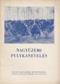 Kakuk Tibor,Wettstein Ferenc - Nagyüzemi pulykanevelés
