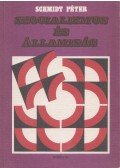 Schmidt Péter - Szocializmus és államiság