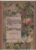 Schubert, G. H. - A növények természetrajza képekben