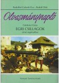 Rudolfné Galamb Éva,Rudolf Ottó - Olvasmánynapló Gárdonyi Géza Egri csillagok című regényéhez