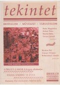 Ördögh Szilveszter - Tekintet 2013/5