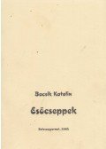 Bacsik Katalin - Esőcseppek