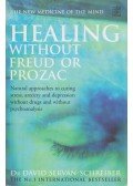 Dr. David Servan-Schreiber - Healing without Freud or Prozac