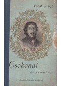Ferenczi Zoltán - Csokonai
