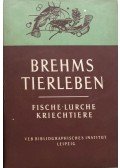 Brehm Alfréd,Dr. Walter Rammner - Brehms Tierleben II. Band