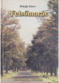 Balogh János - Felsőmarác