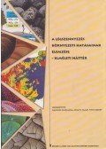 Flachner Zsuzsanna,Németh Tamás,Tóth Róbert - A légszennyezés környezeti hatásainak elemzése - Elméleti háttér