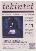 Hovanyecz László - Tekintet 2013/4