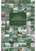 Bolla Dezső - Csepel története