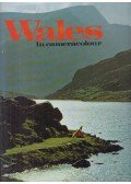 Alan Hollingsworth - Wales in cameracolour