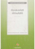 Sághi Márta (Szerk.) - Gyakorlati útmutató
