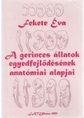 Fekete Éva - A gerinces állatok egyedfejlődésének anatómiai alapjai