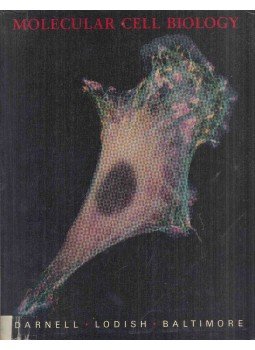 James Darnell, Harvey Lodish, David Baltimore - Molecular Cell Biology James Darnell, Harvey Lodish, David Baltimore - Molecular Cell Biology, 1986 antikvár könyv