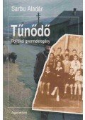 Sarbu Aladár - Tűnődő