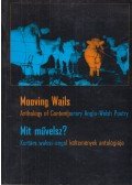 Kovács Kinga,Tracikievicz Zsófia - Mooving Wails/Mit művelsz?