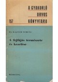 Kajtor  Ferenc dr. - A fejfájás természete és kezelése